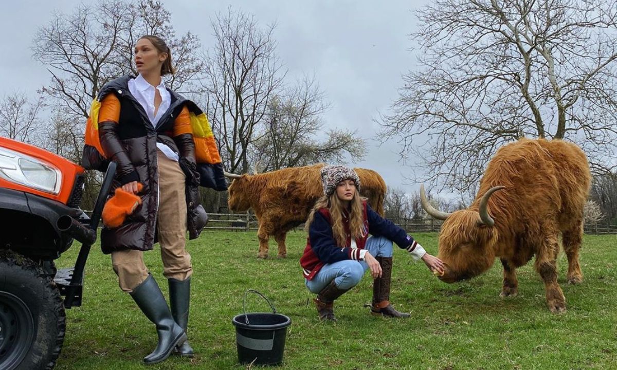 Bella και Gigi Hadid ποζάρουν και μας δείχνουν τις φουσκωμένες κοιλίτσες τους