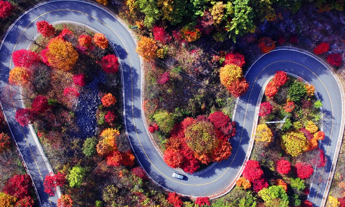 Ημερήσιες Προβλέψεις για όλα τα Ζώδια 24/09