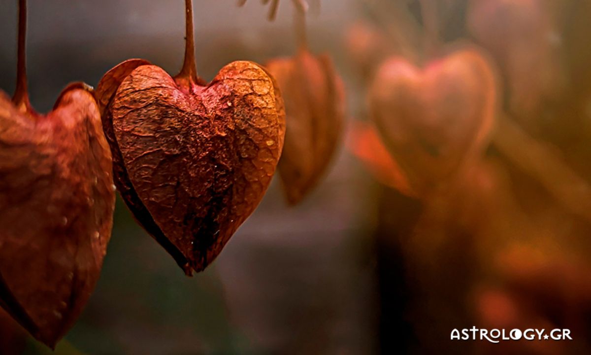Προβλέψεις αγάπης για όλα τα ζώδια, 27/09