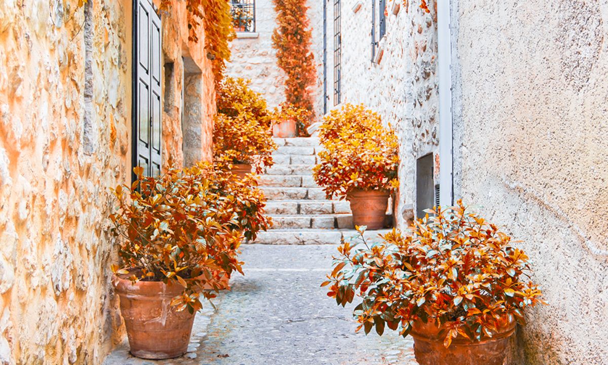 Ημερήσιες Προβλέψεις για όλα τα Ζώδια 12/10