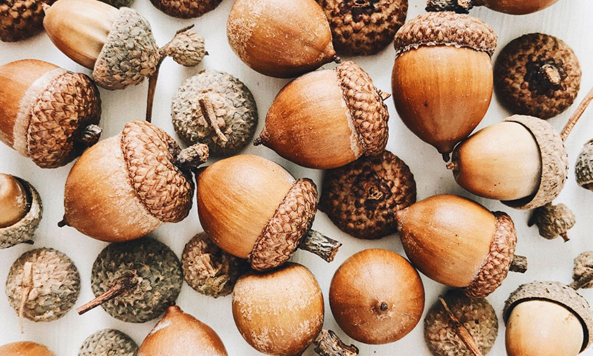 Ημερήσιες Προβλέψεις για όλα τα Ζώδια 20/10