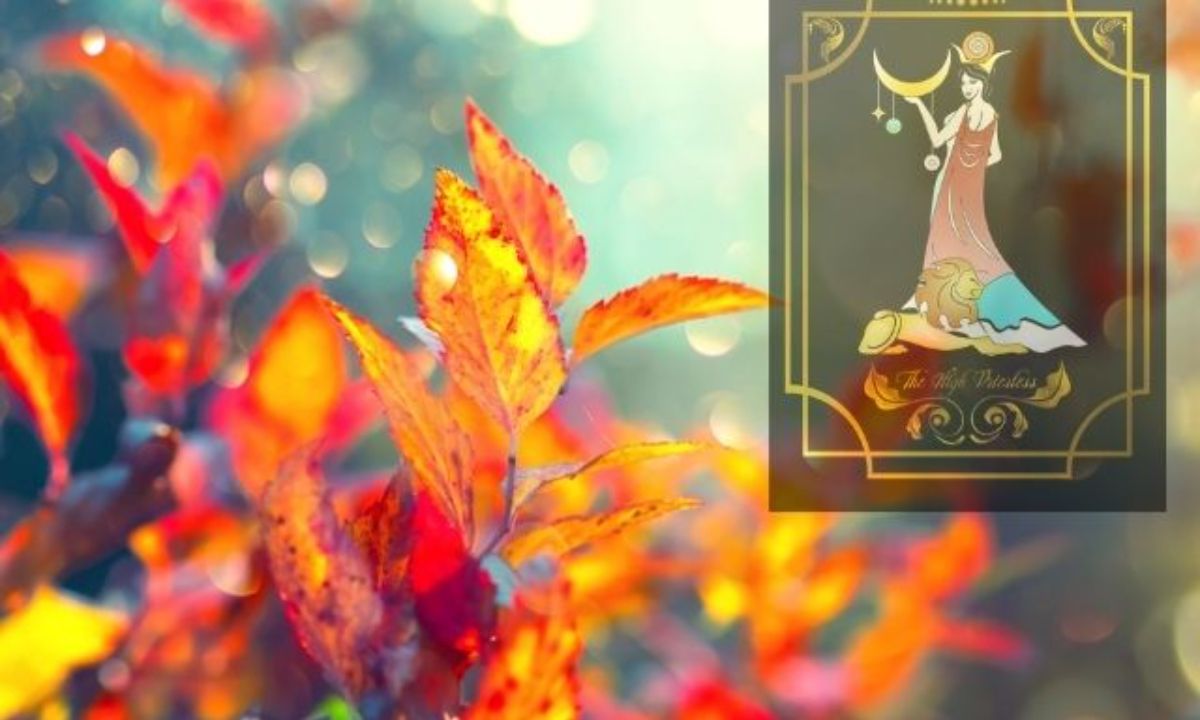 Προβλέψεις Ταρώ Νοεμβρίου 2020: Η αρχή ενός νέου κύκλου