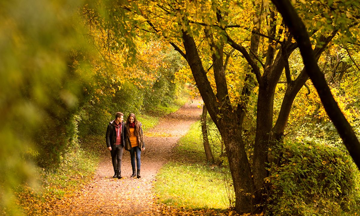 Προβλέψεις αγάπης για όλα τα ζώδια, 26/10