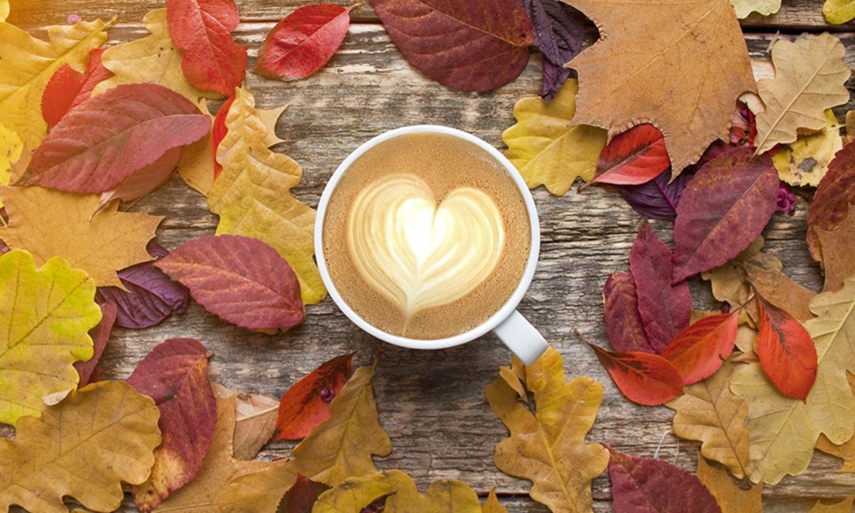 Προβλέψεις αγάπης για όλα τα ζώδια, 31/10