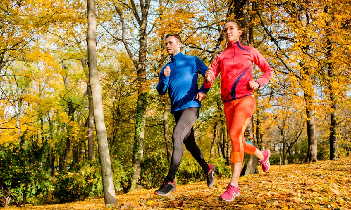 Προβλέψεις αγάπης για όλα τα ζώδια, 09/11