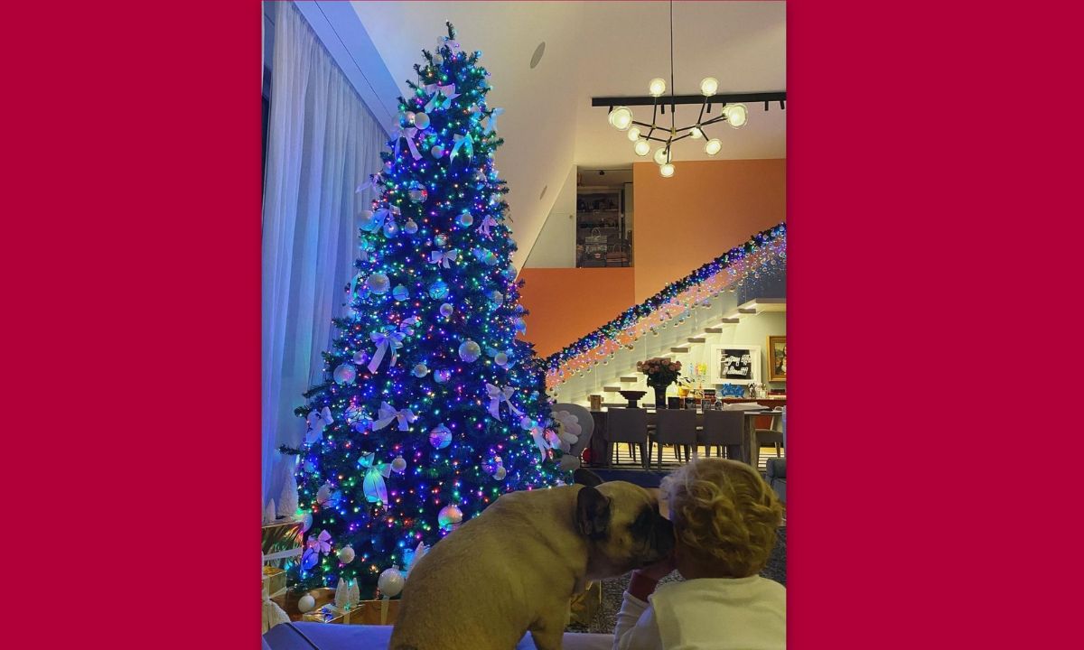 Μας έδειξε το σαλόνι της και η Χριστουγεννιάτικη διακόσμηση είναι το κάτι άλλο