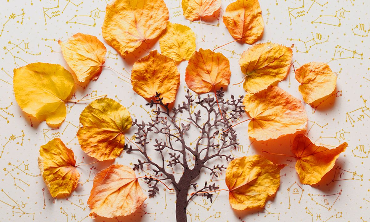 Εβδομαδιαίες προβλέψεις 22/11- 28/11: Άλλοι ανεβαίνουν, άλλοι πέφτουν στα Τάρταρα