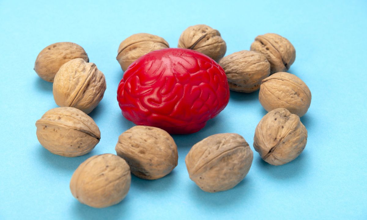 Αυτές είναι οι καλύτερες τροφές για τον εγκέφαλο (εικόνες)