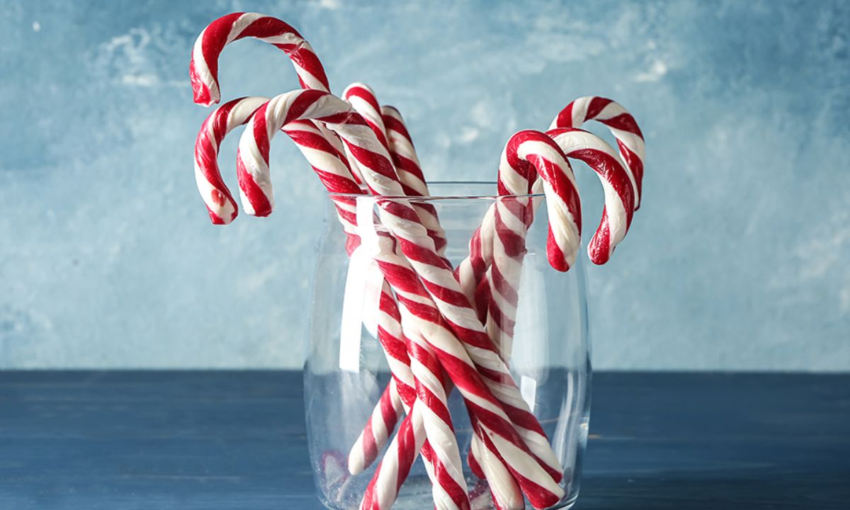 Ημερήσιες Προβλέψεις για όλα τα Ζώδια 15/12