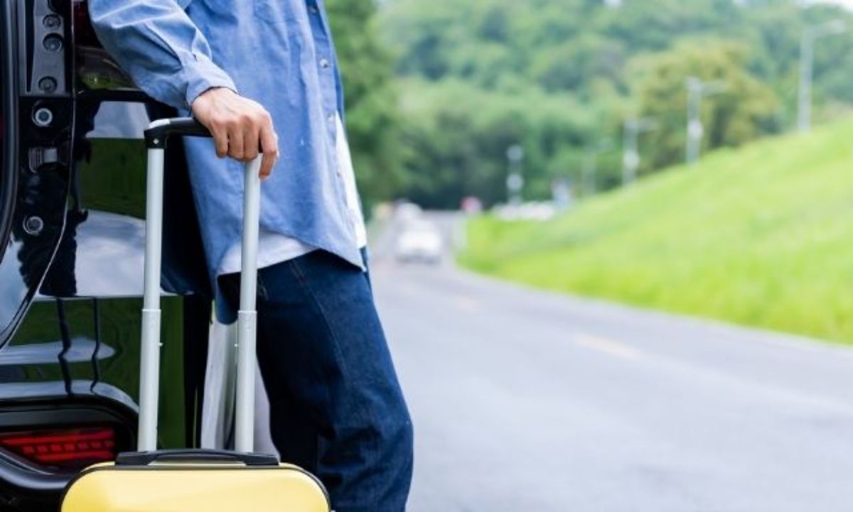 Αυτά τα ζώδια δε θα δίσταζαν, ακόμα και να ξεριζωθούν, για να κάνουν μια νέα αρχή!