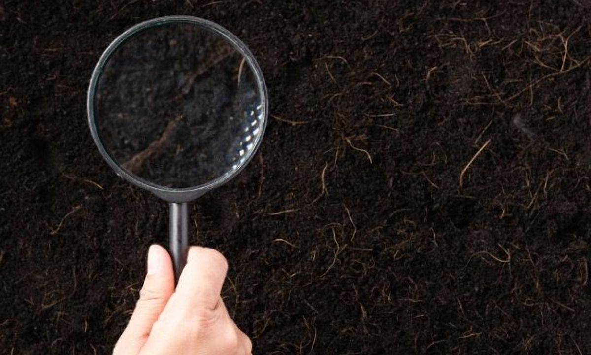 Σήμερα 04/01: Ερεύνησε εξονυχιστικά τα πάντα