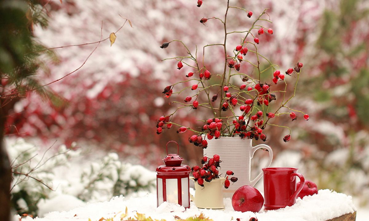 Ημερήσιες Προβλέψεις για όλα τα Ζώδια 14/01