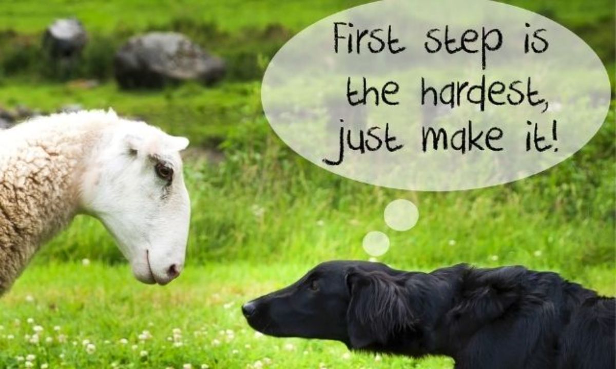 Σήμερα 15/01: Μια δοκιμή θα σε πείσει...