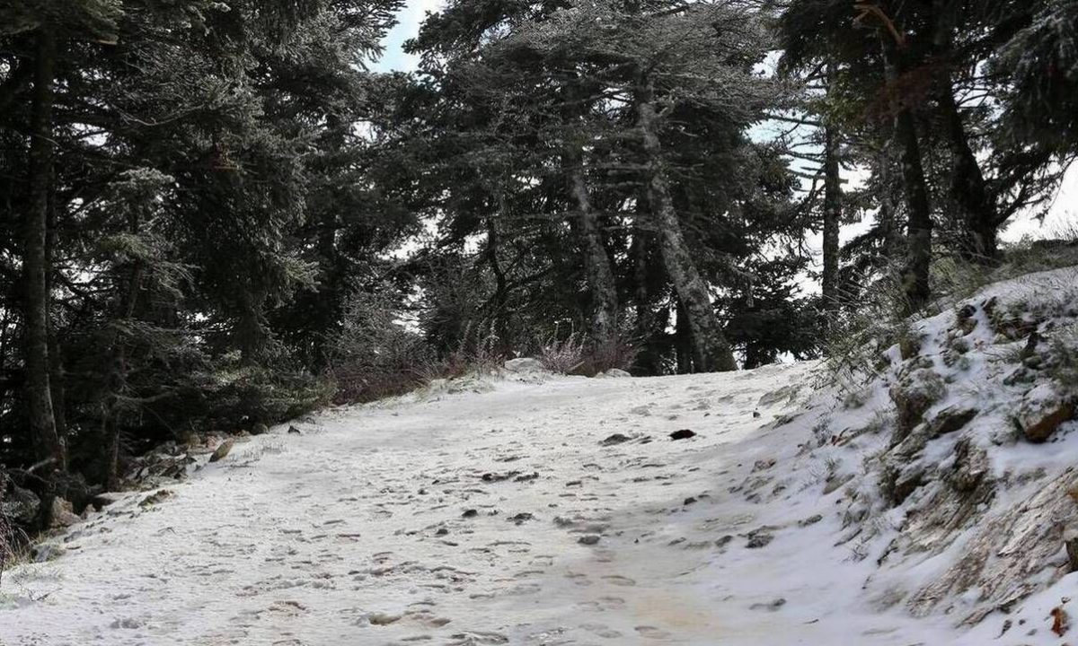 Κακοκαιρία «Λέανδρος»: Ψυχρή εισβολή σε όλη τη χώρα - Χιόνι και στην Αττική