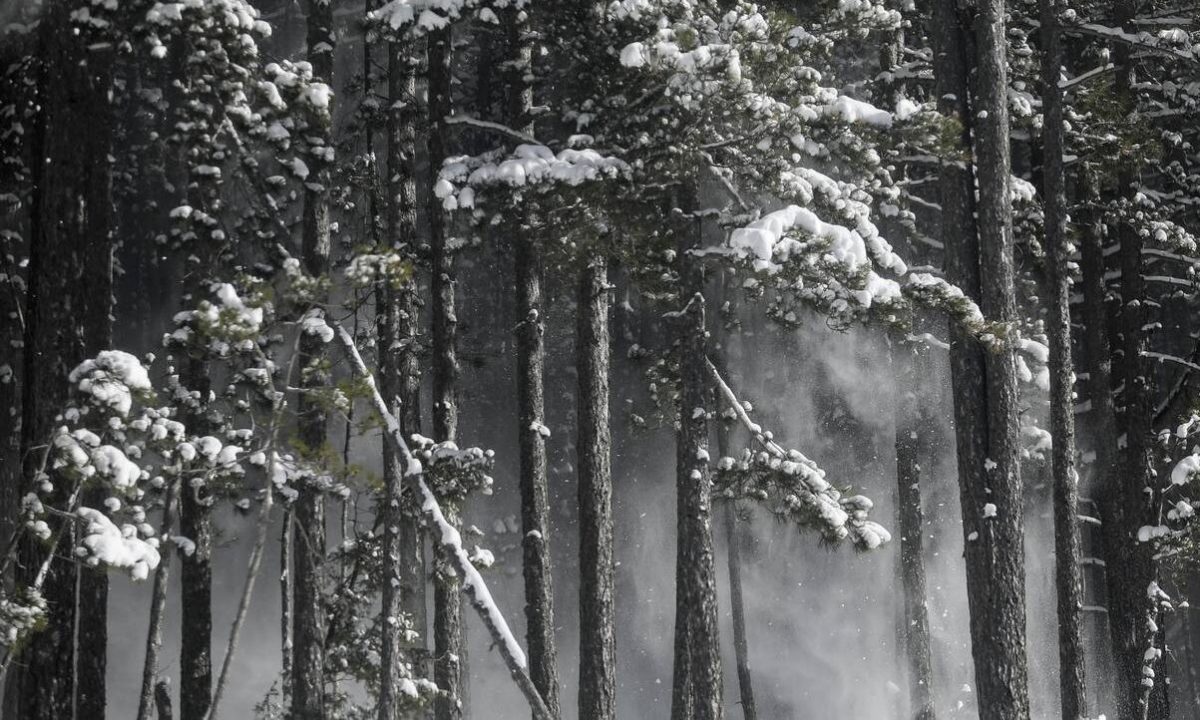 Καιρός: Συνεχίζεται το σφοδρό κύμα κακοκαιρίας - Χιόνι και στην Αττική
