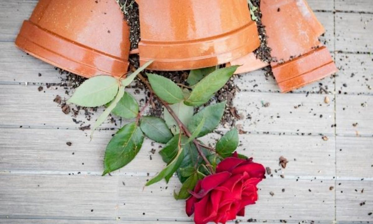 Αυτοί είναι οι μεγαλύτεροι ζημιάρηδες του ζωδιακού!