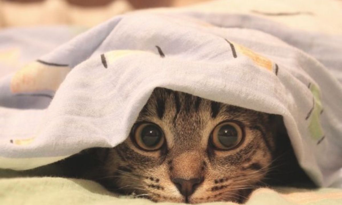 Σήμερα 26/01: Αιφνιδίασε, πριν σε αιφνιδιάσουν