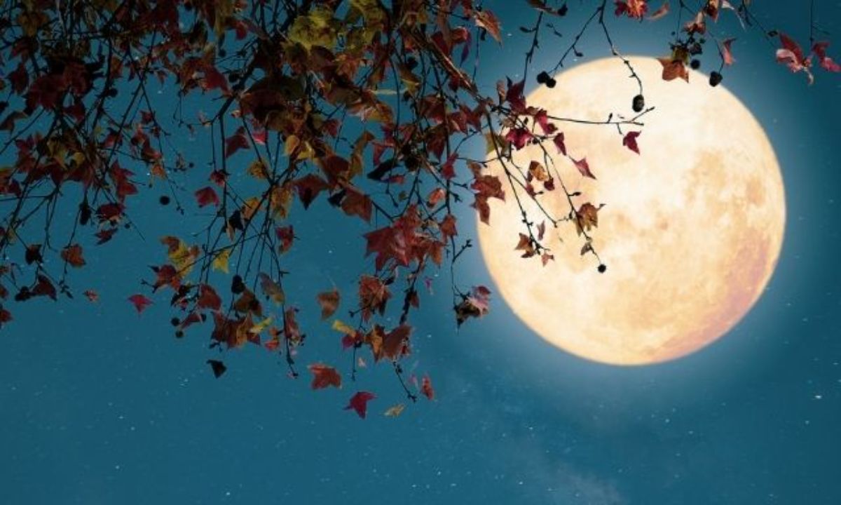 Σήμερα 28/01: Πανσέληνος στον Λέοντα – Όλα στο φως!