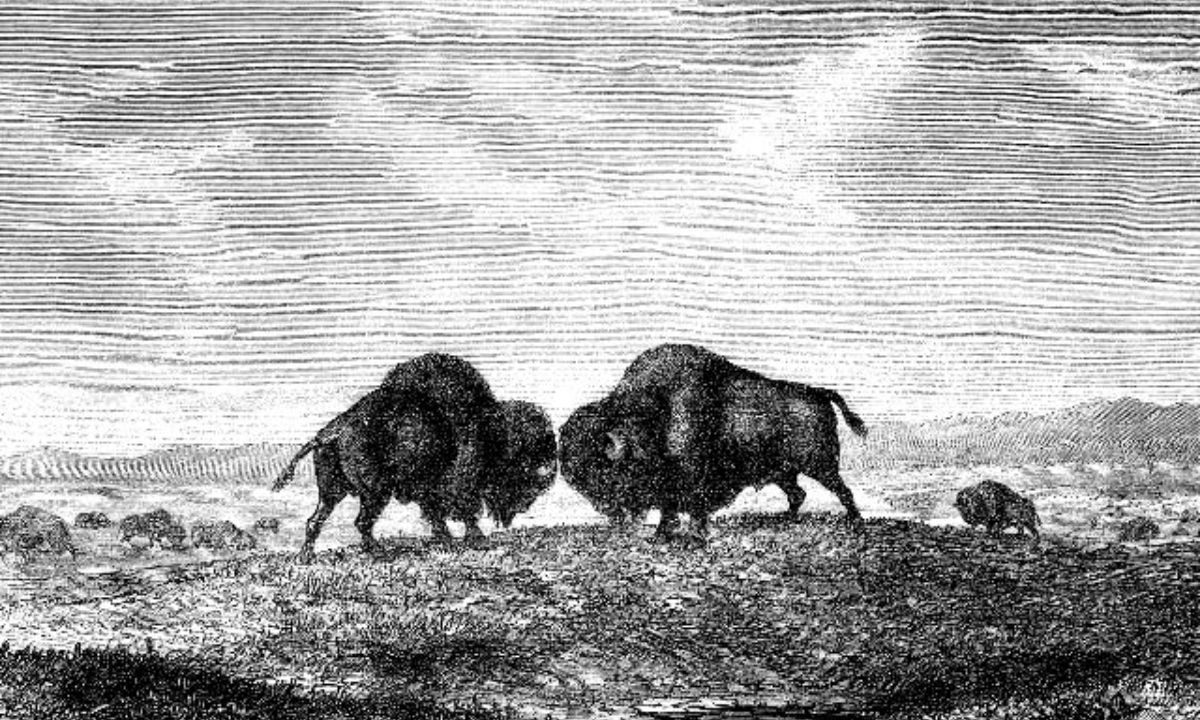 Κρόνος στον Υδροχόο Vs Ουρανού στον Ταύρο: Κανείς δεν μπορεί να είναι σίγουρος για τίποτα!