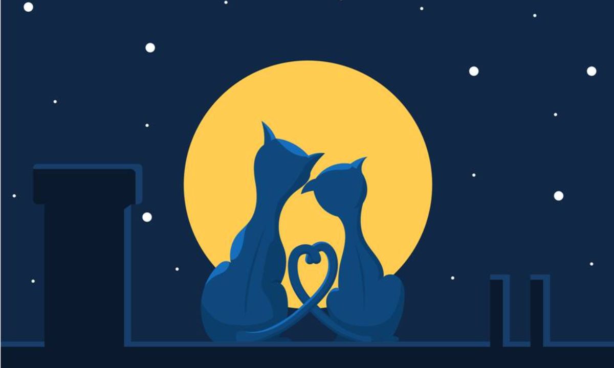 Το ζώδιό σου δείχνει ποια είναι η μεγαλύτερη ανάγκη σου σε μια σχέση!