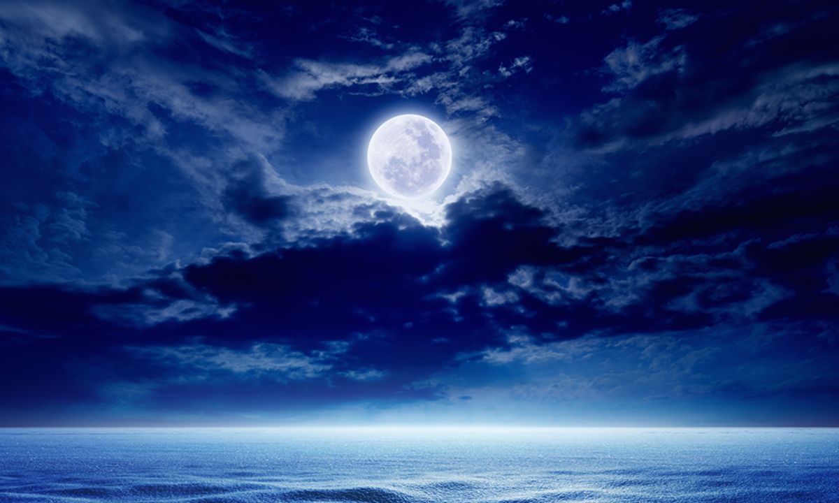 Πανσέληνος στον Λέοντα: Κάνε τη διαφορά!