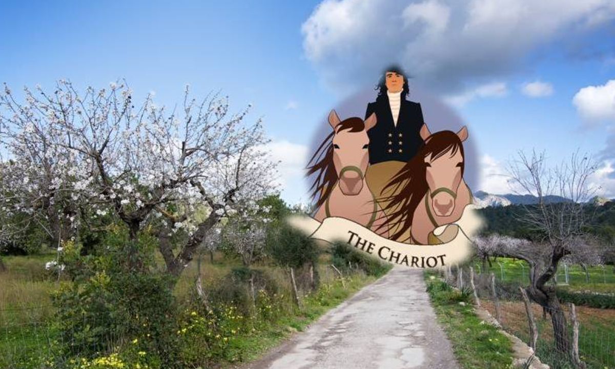 Προβλέψεις Ταρώ Φεβρουαρίου 2021: Μην τα παρατάς!