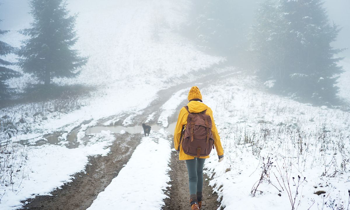 Ημερήσιες Προβλέψεις για όλα τα Ζώδια 29/01