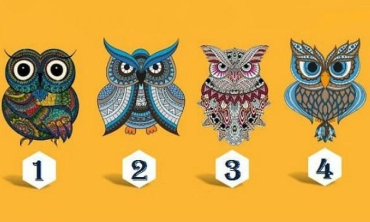 Διάλεξε 1 από τις 4 κουκουβάγιες και ανακάλυψε την πραγματική αλήθεια για σένα