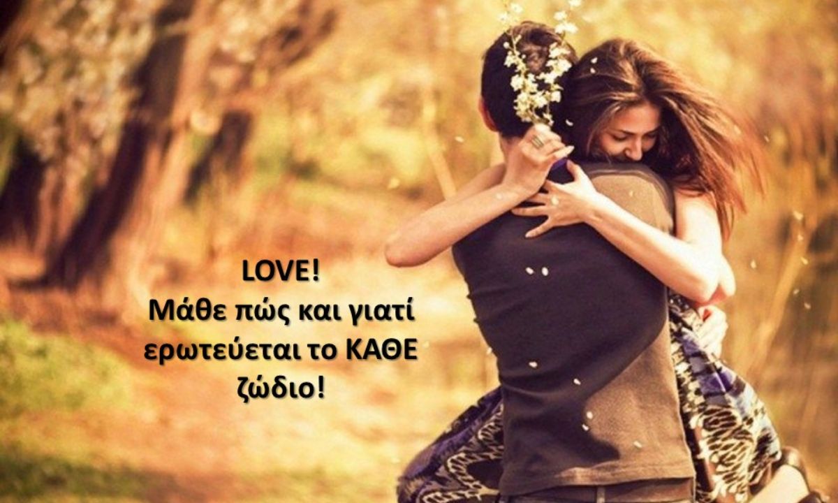 Πώς ερωτεύονται τα 12 ζώδια; Όλα όσα πρέπει να γνωρίζεις για να είσαι... μέσα στα πράγματα