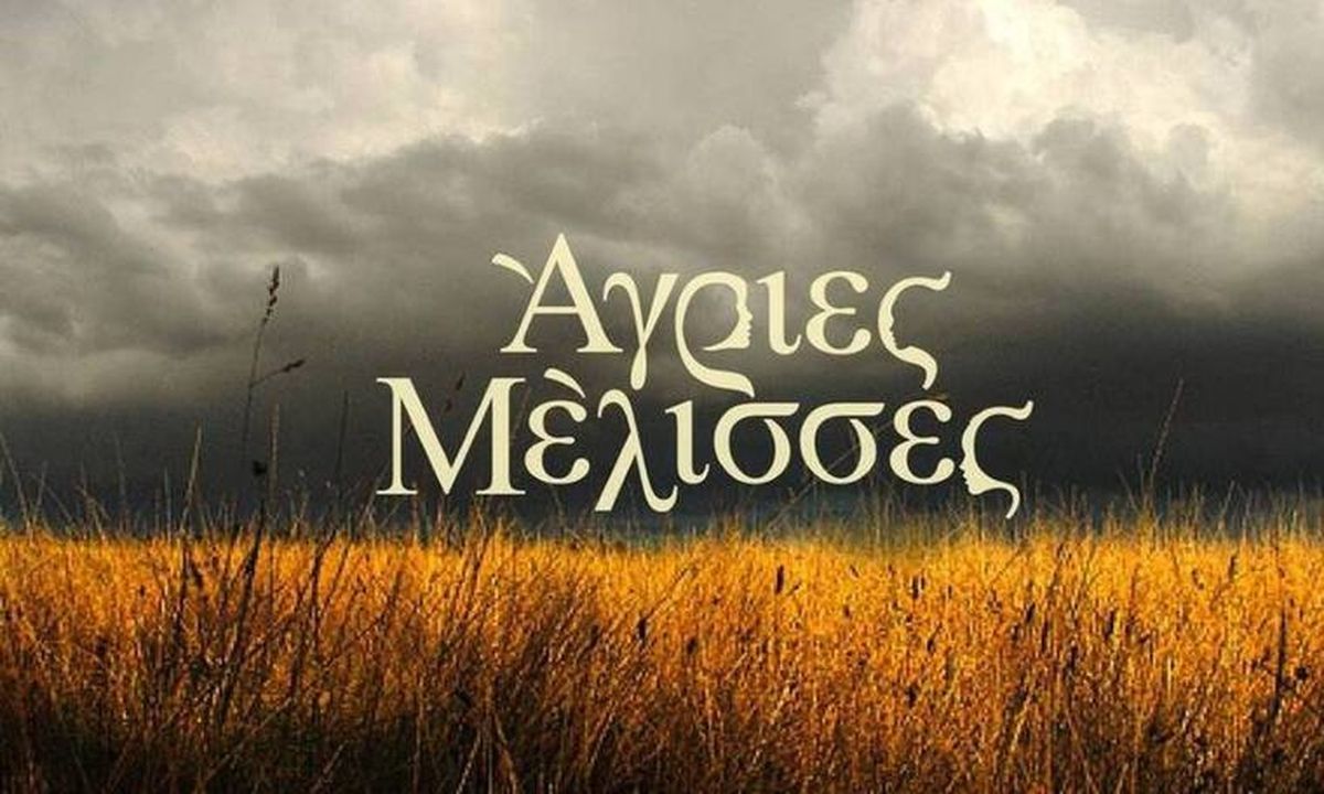 Άγριες Μέλισσες spoiler: Χωρισμός στο Διαφάνι! Η απόφαση που θα φέρει την ανατροπή!