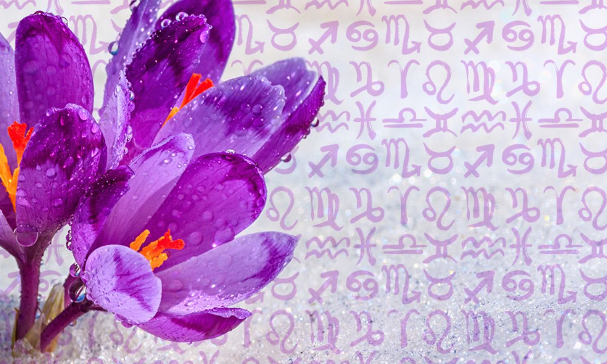 Εβδομαδιαίες Προβλέψεις 14/02 έως 20/02: Οι οιωνοί είναι καλοί