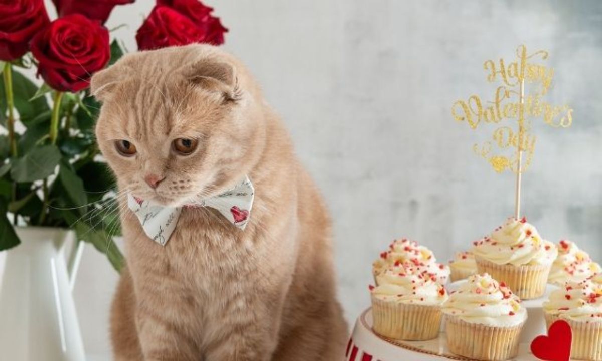 Αυτά τα 3 ζώδια δεν αντέχουν να περάσουν μόνα τους την ημέρα του Αγ. Βαλεντίνου