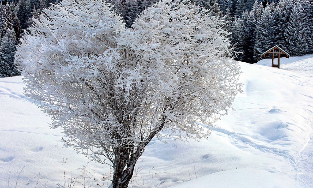 Προβλέψεις για τα αισθηματικά του ζωδίου σου, σήμερα 21/02