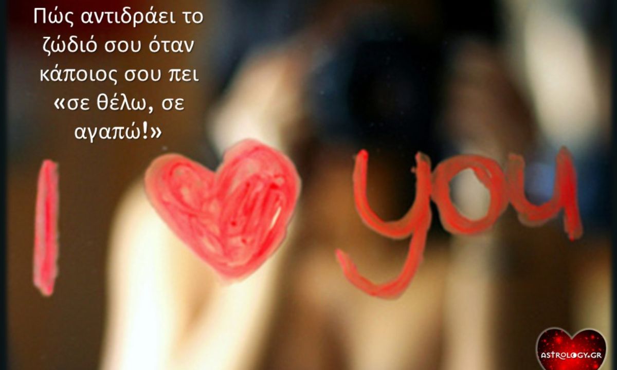 Τι θα σου απαντήσει το κάθε ζώδιο αν του πεις «σε θέλω»