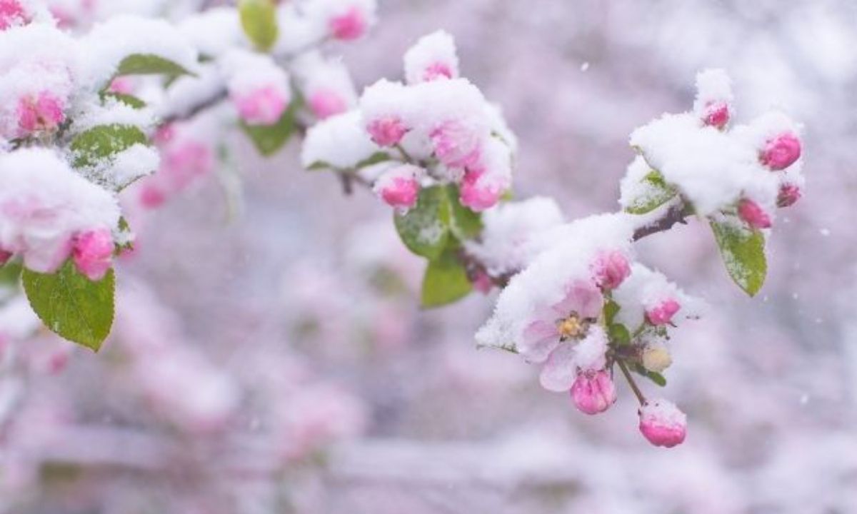Αυτά τα ζώδια θα έχουν έναν δύσκολο Μάρτιο