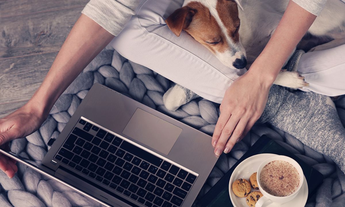 Ημερήσιες Προβλέψεις για όλα τα Ζώδια 27/02