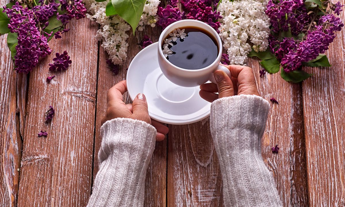 Ημερήσιες Προβλέψεις για όλα τα Ζώδια 02/03