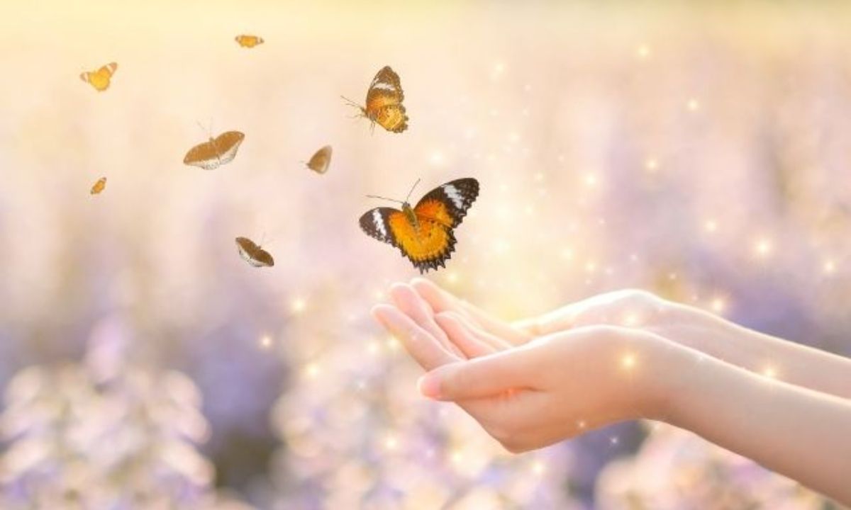 Σήμερα 12/03: Άγγιγμα ψυχής...