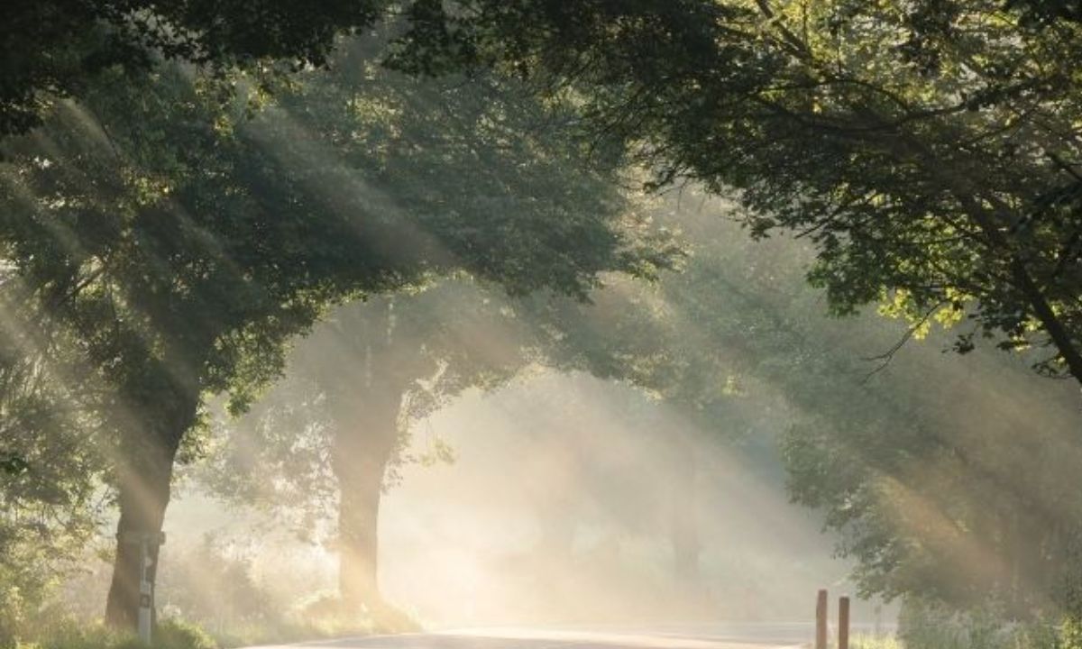 Σήμερα 16/03: Ευκαιρία να ξεκαθαρίσεις το τοπίο