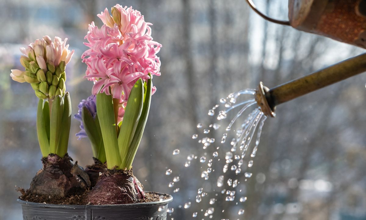 Ημερήσιες Προβλέψεις για όλα τα Ζώδια 10/03