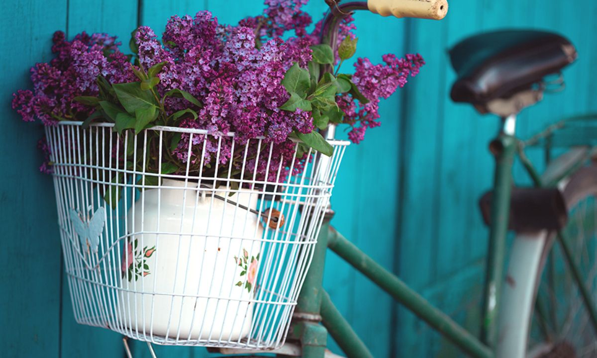 Ημερήσιες Προβλέψεις για όλα τα Ζώδια 01/04