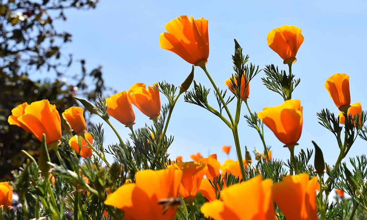 Τι λένε τα άστρα για τον Απρίλιο του 2021;