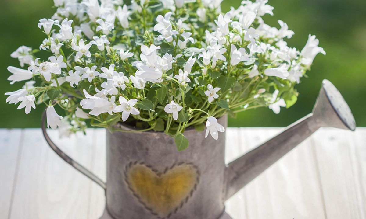 Προβλέψεις για τα αισθηματικά του ζωδίου σου, σήμερα 06/04