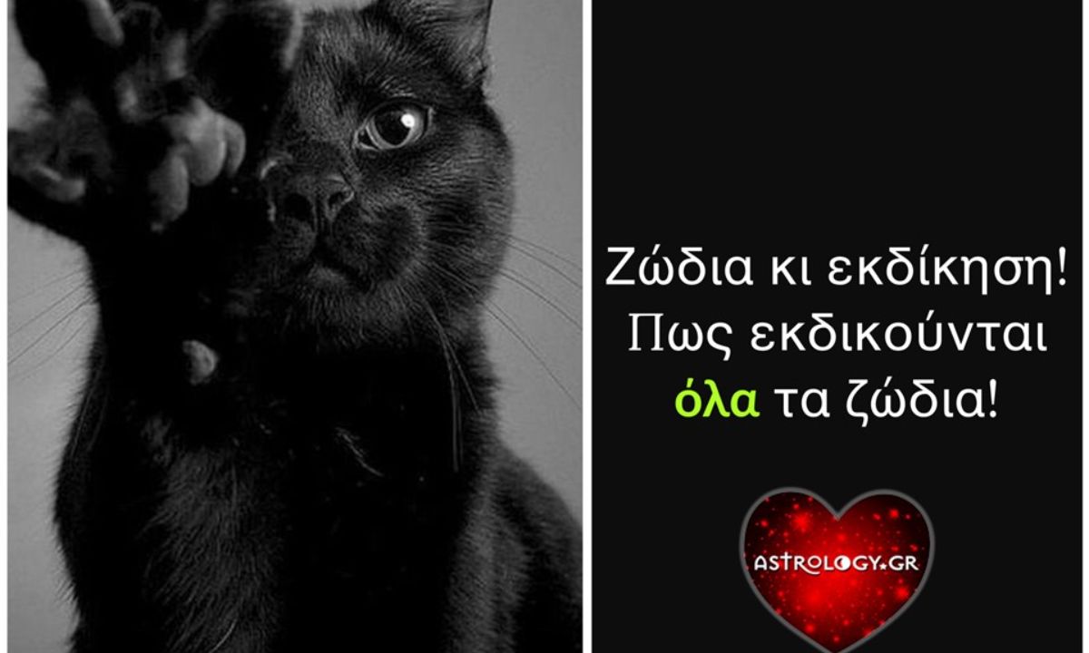 Έτσι εκδικείται το κάθε ζώδιο!