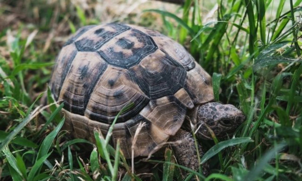 Σήμερα 19/04: Αργά-αργά, βαριά-βαριά