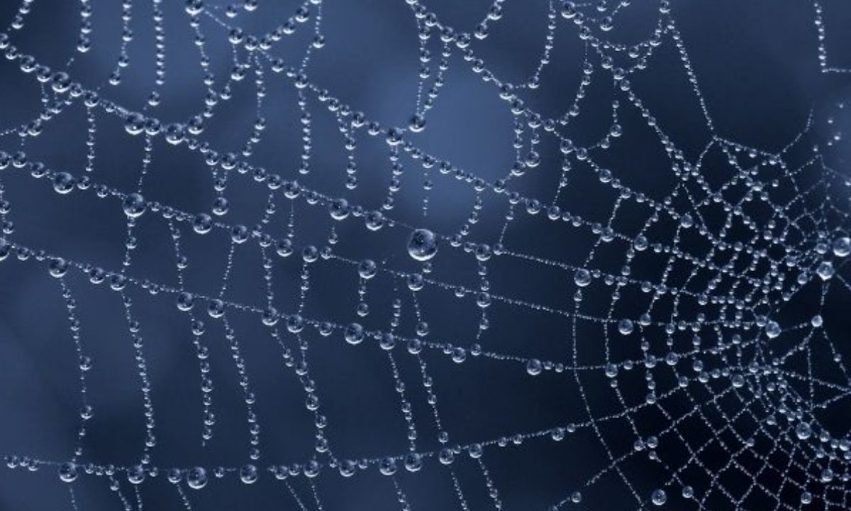 Σήμερα 28/04: Στήσε τον ιστό σου