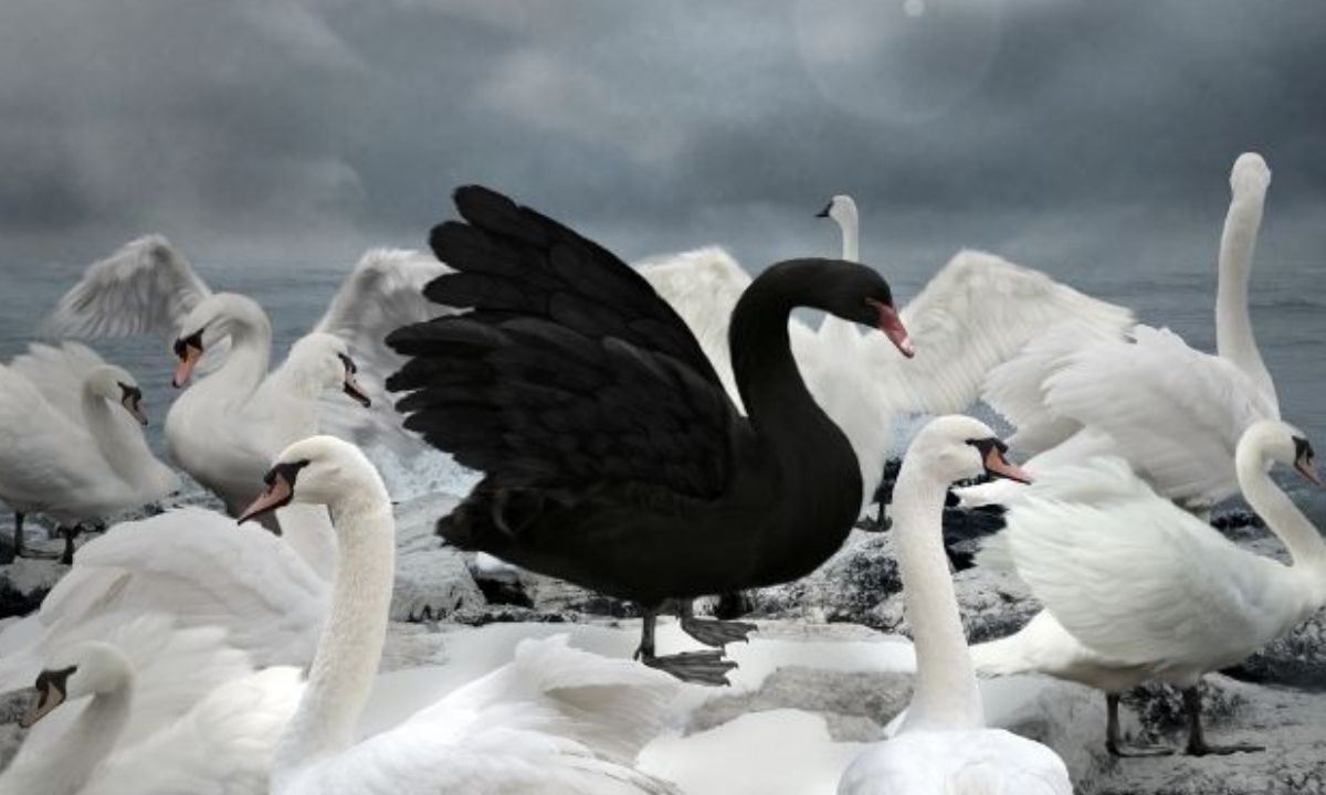 Σήμερα 30/04: Να ξεχωρίσεις από τη μάζα