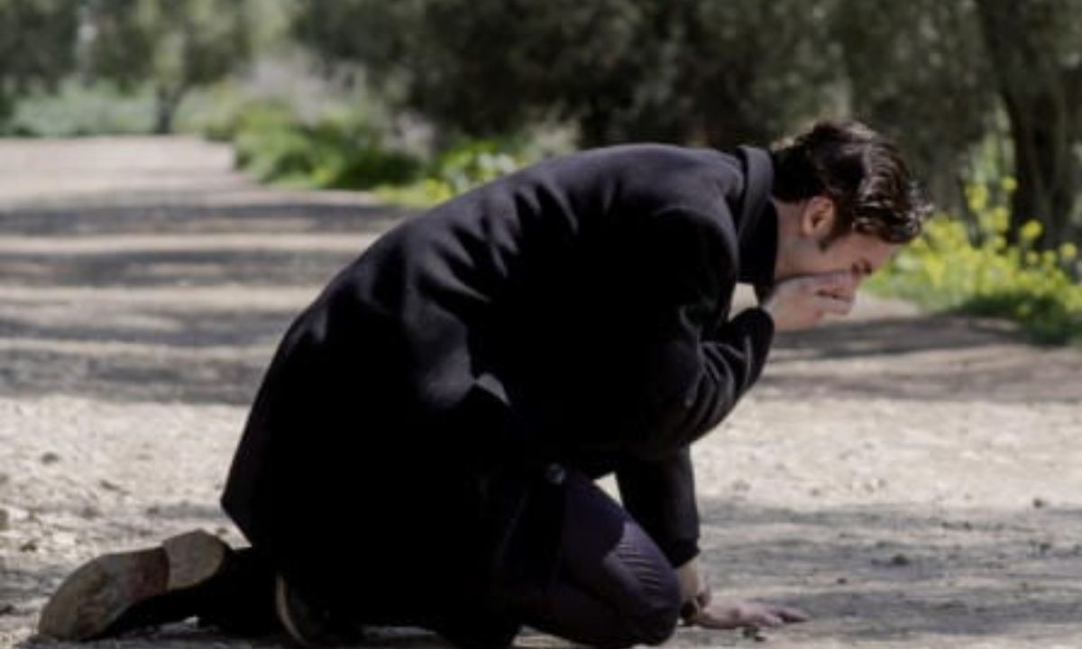 Άγριες Μέλισσες: Δούκας-Νικηφόρος δίνουν οσκαρική ερμηνεία και το Twitter παραληρεί