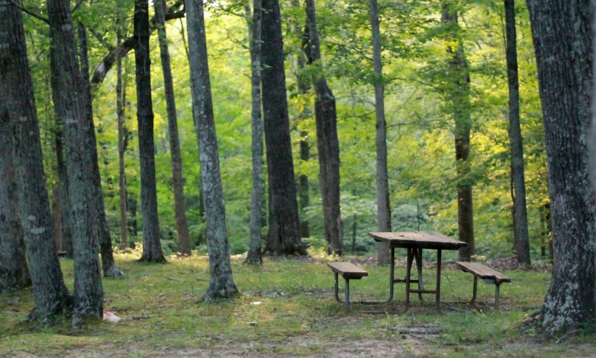 ΟΑΕΔ - Παιδικές κατασκηνώσεις: Από σήμερα οι αιτήσεις για τα voucher - Δικαιούχοι