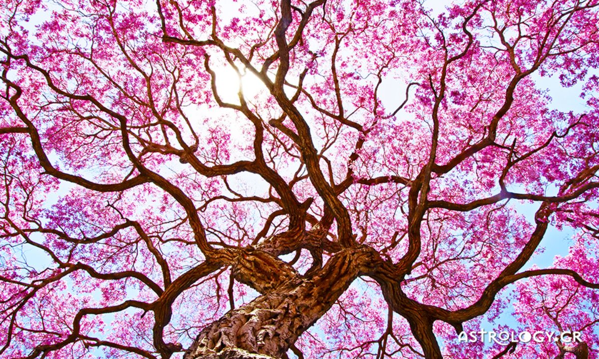 Τι λένε τα άστρα για τον Μάιο του 2021;